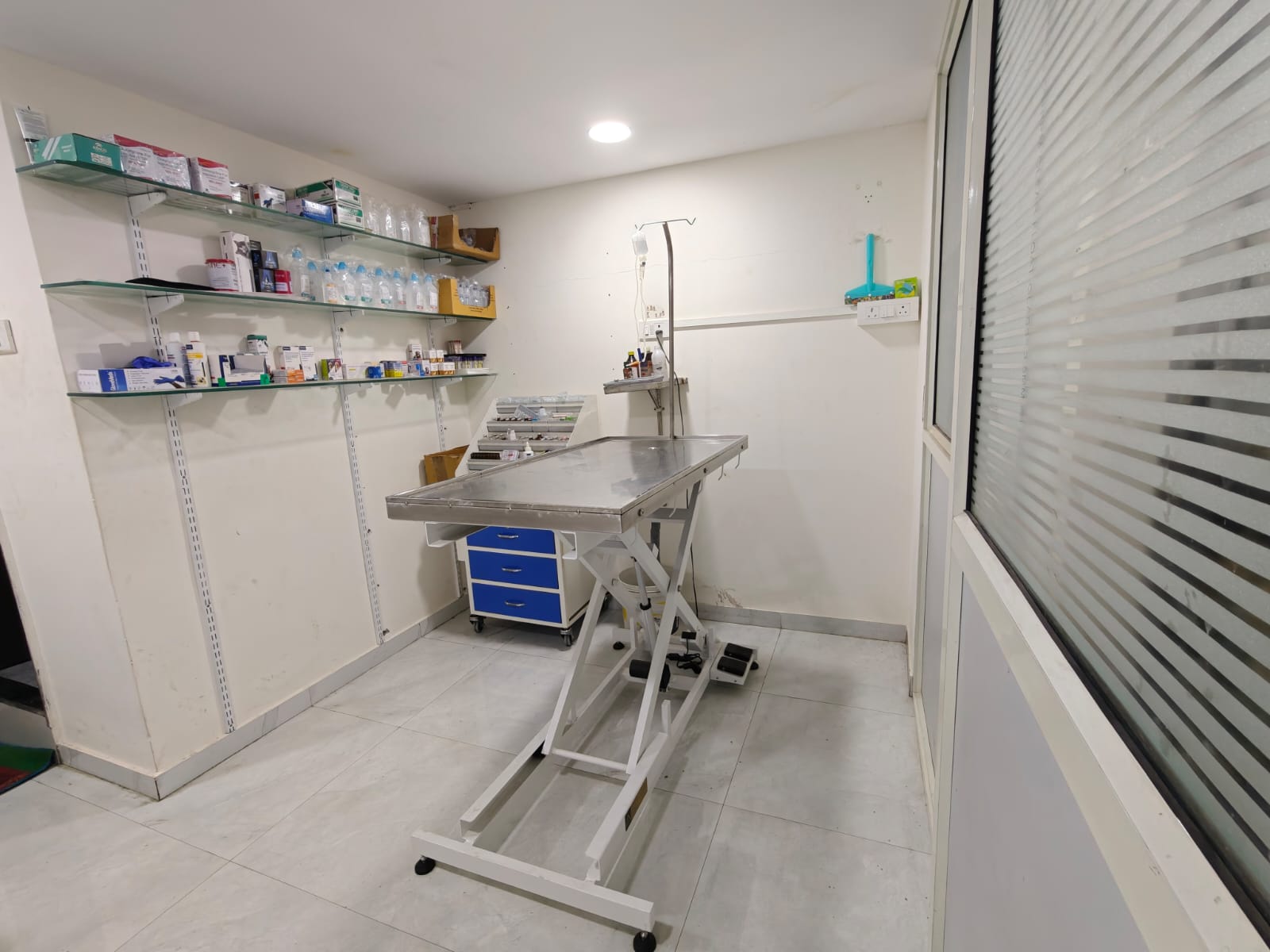 Sarvadnya Pet Care Unit veterinary clinic, Pune